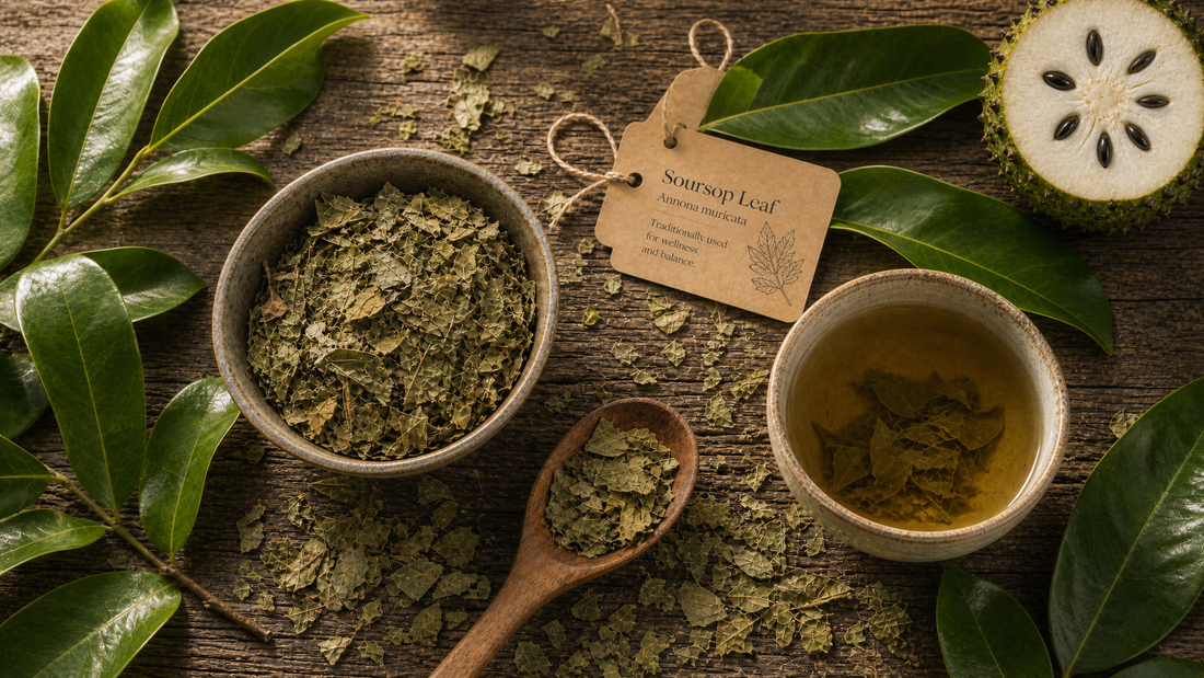 Soursop (Graviola) Leaf Tea: A Soothing Caribbean Evening Ritual