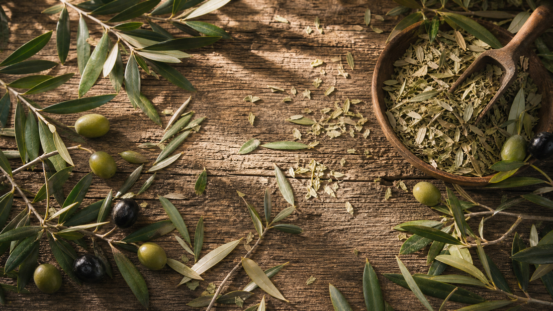 What Is Olive Leaf Tea? History, Benefits & How to Brew