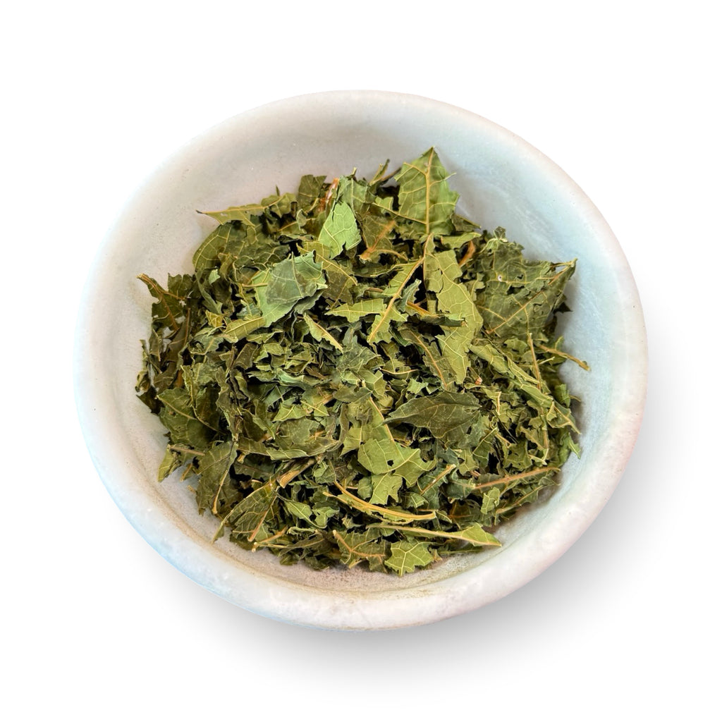 Papaya Leaf | Dried & Cut Leaves | Fruit Leaf Tea Ingredient