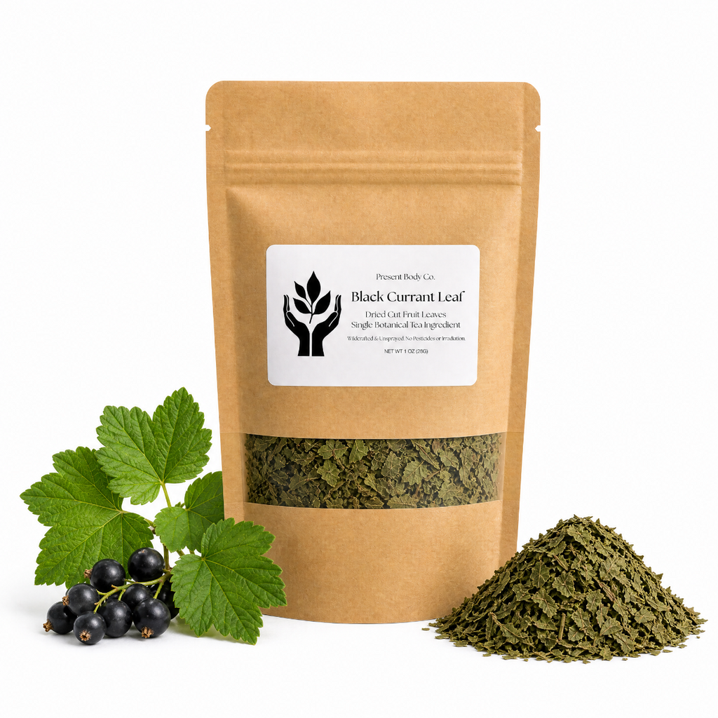 A kraft paper stand-up pouch of Black Currant Leaf by Present Body Co. stands on a white background, with green currant leaves and a small pile of dried green currant leaf beside it.