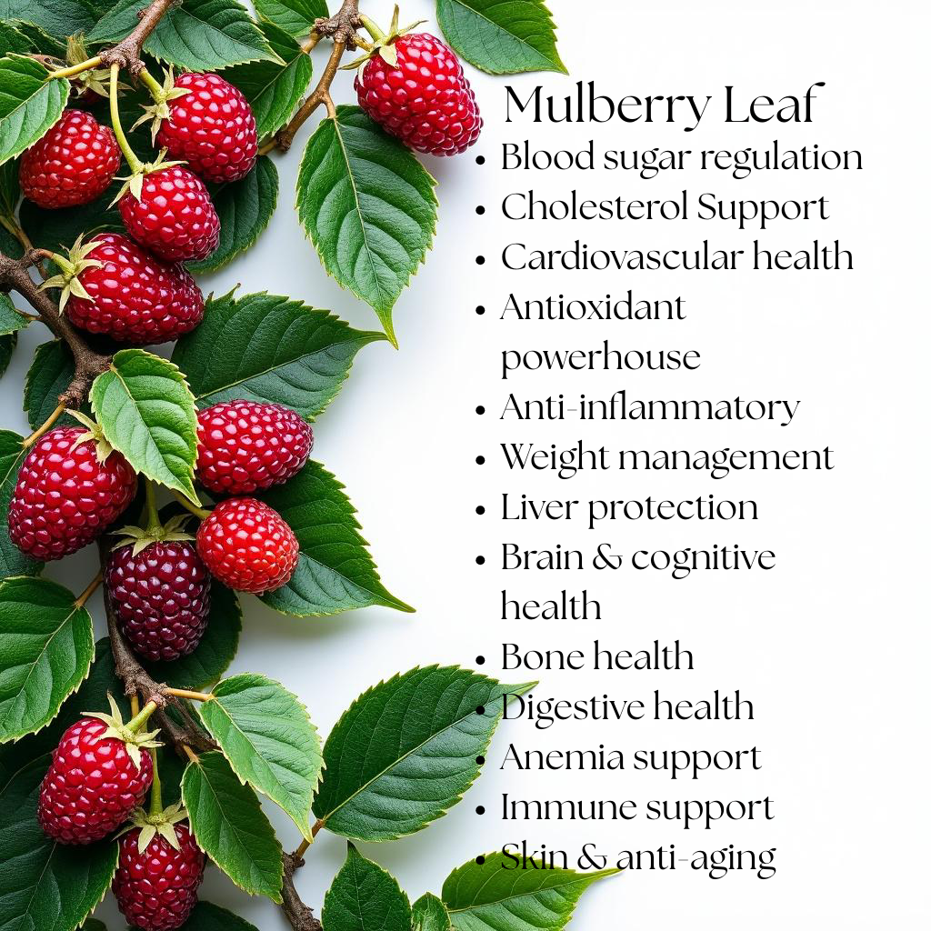 Balance | Metabolic Wellness Tea Blend