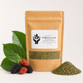 A kraft paper stand-up pouch labeled Mulberry Leaf dried leaf extract, styled with fresh green mulberry leaves and berries on one side and a small pile of the dried green leaves on the other, on a clean white background.